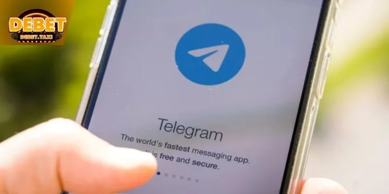 Liên hệ DEBET Zalo hoặc Telegram